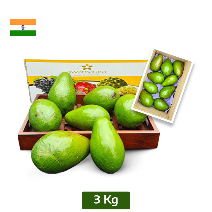 Avocado Pack Of 3kgs A1 Quality Shipping All Over India 